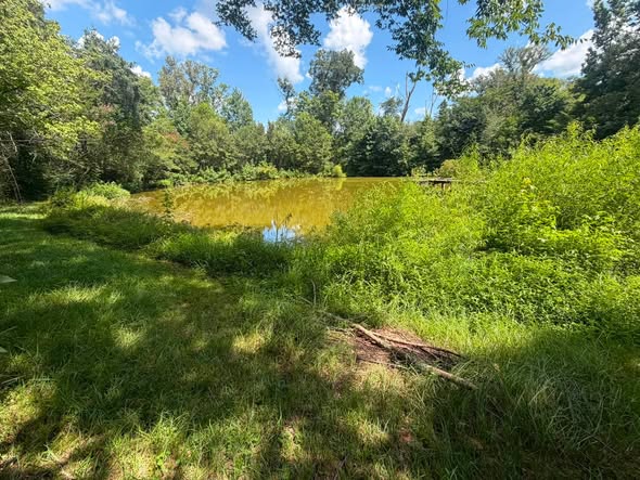 Pond perimeter cleanup and vegetation clearing in Pocahontas MS